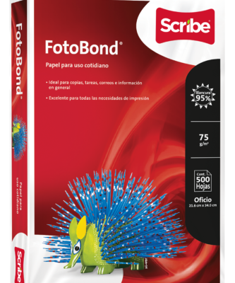 PAPEL BOND DOBLE CARTA C/500 FB